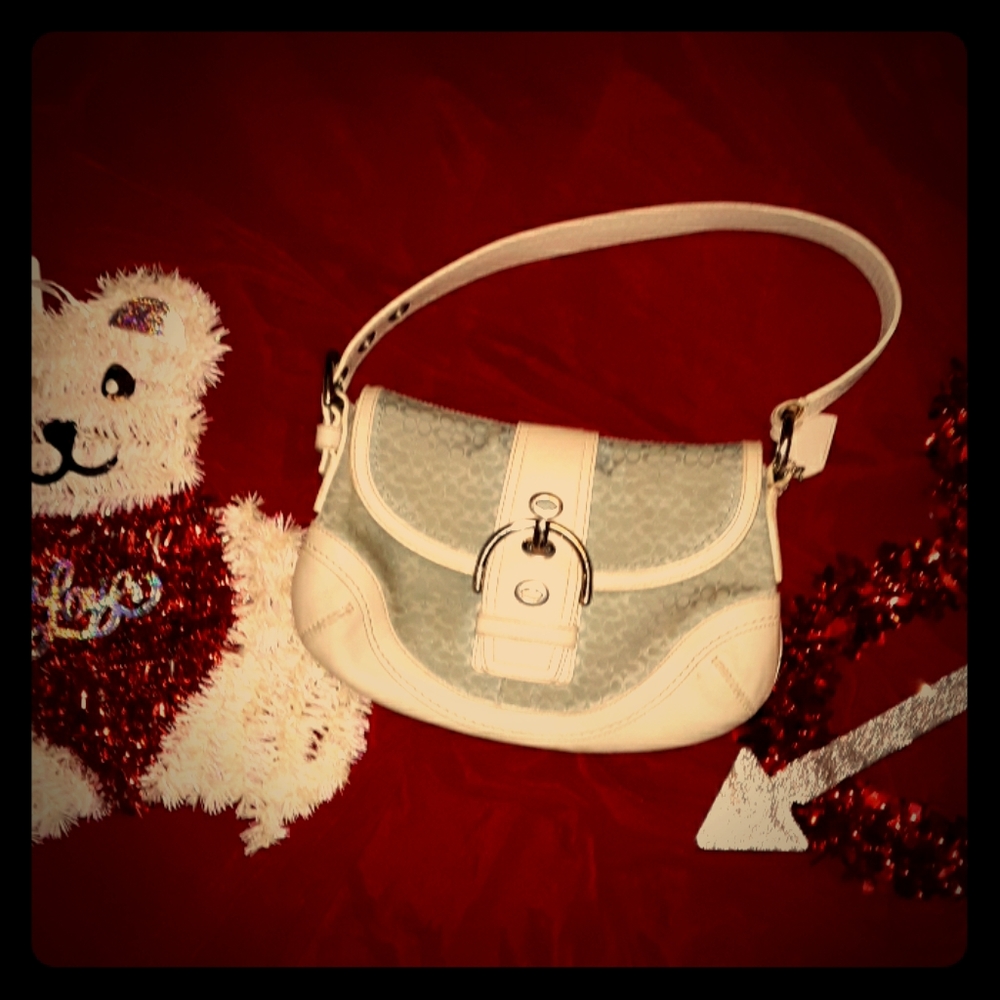 Coach bag